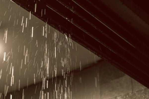 leakage_survey01-3