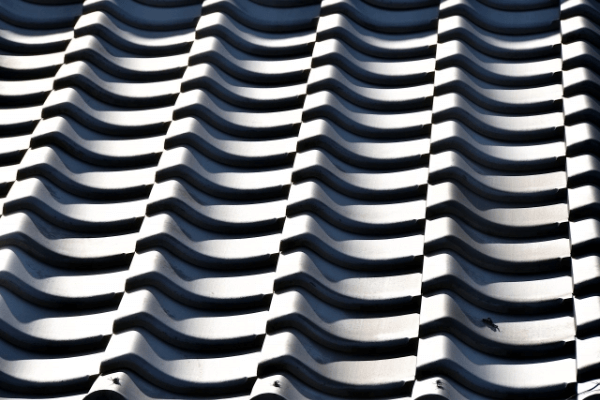 tileroof_maintenance01-3