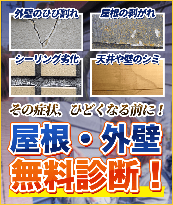 top_sp_kv03