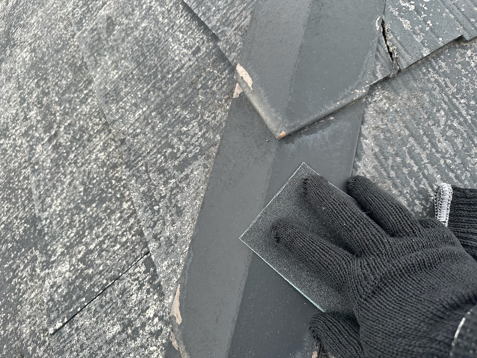 0398C8D2-430C-44EE-82C5-231D472EDB3F