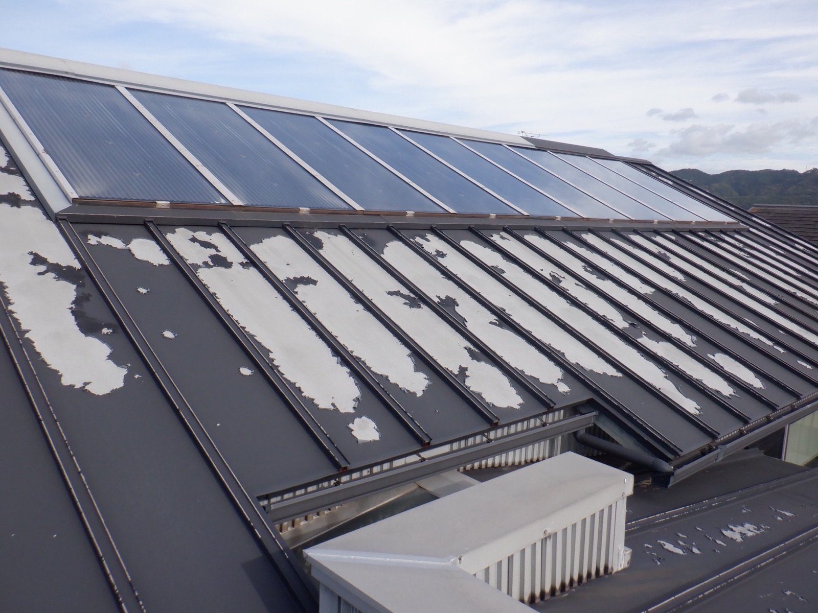 684E8B1B-CE8C-4332-97E3-728714A947FD-4950-000004121C23B8FD