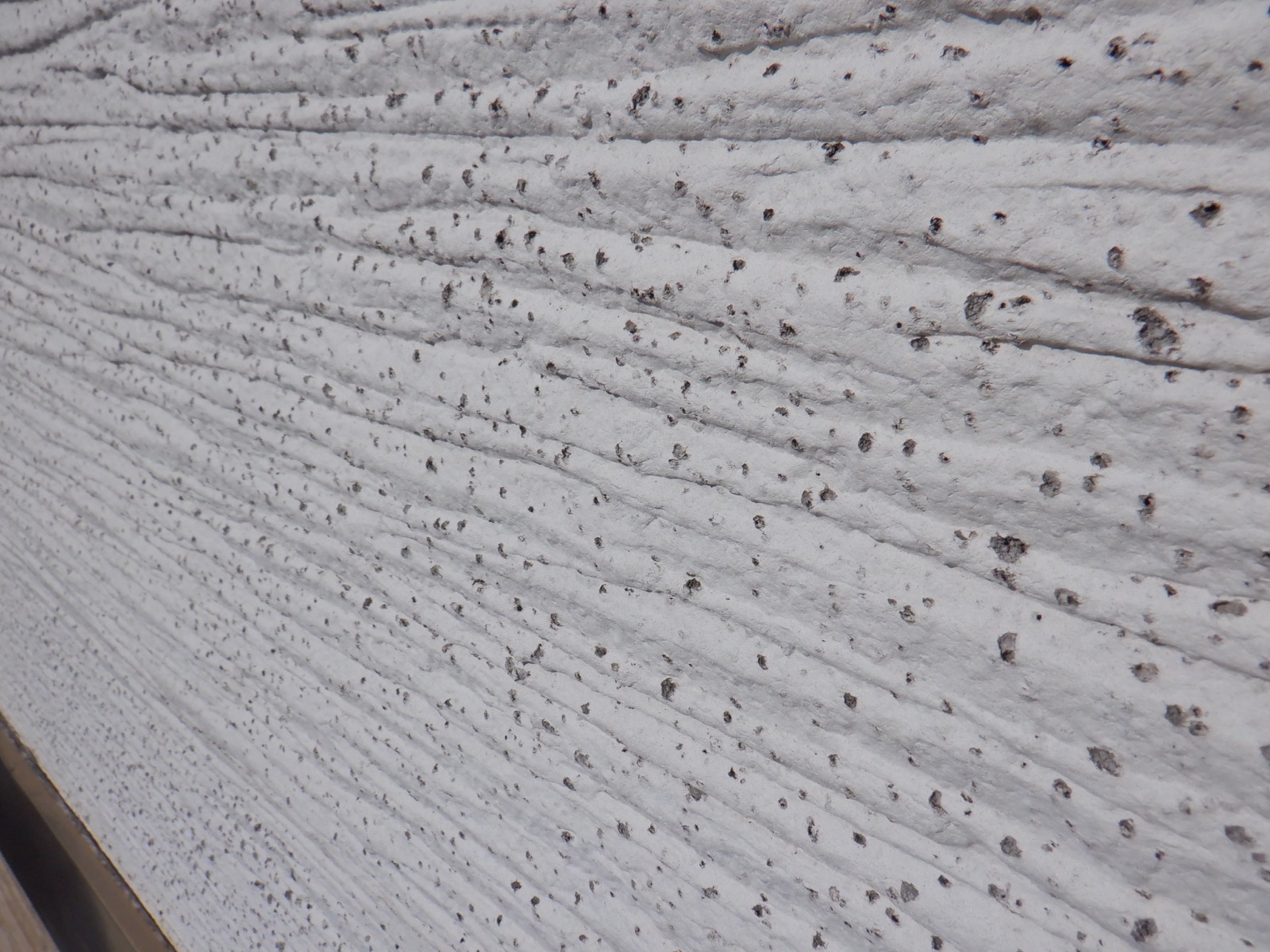 74971ADB-8E9F-4195-846B-837B9872AFCC-31134-000004E944B43A11