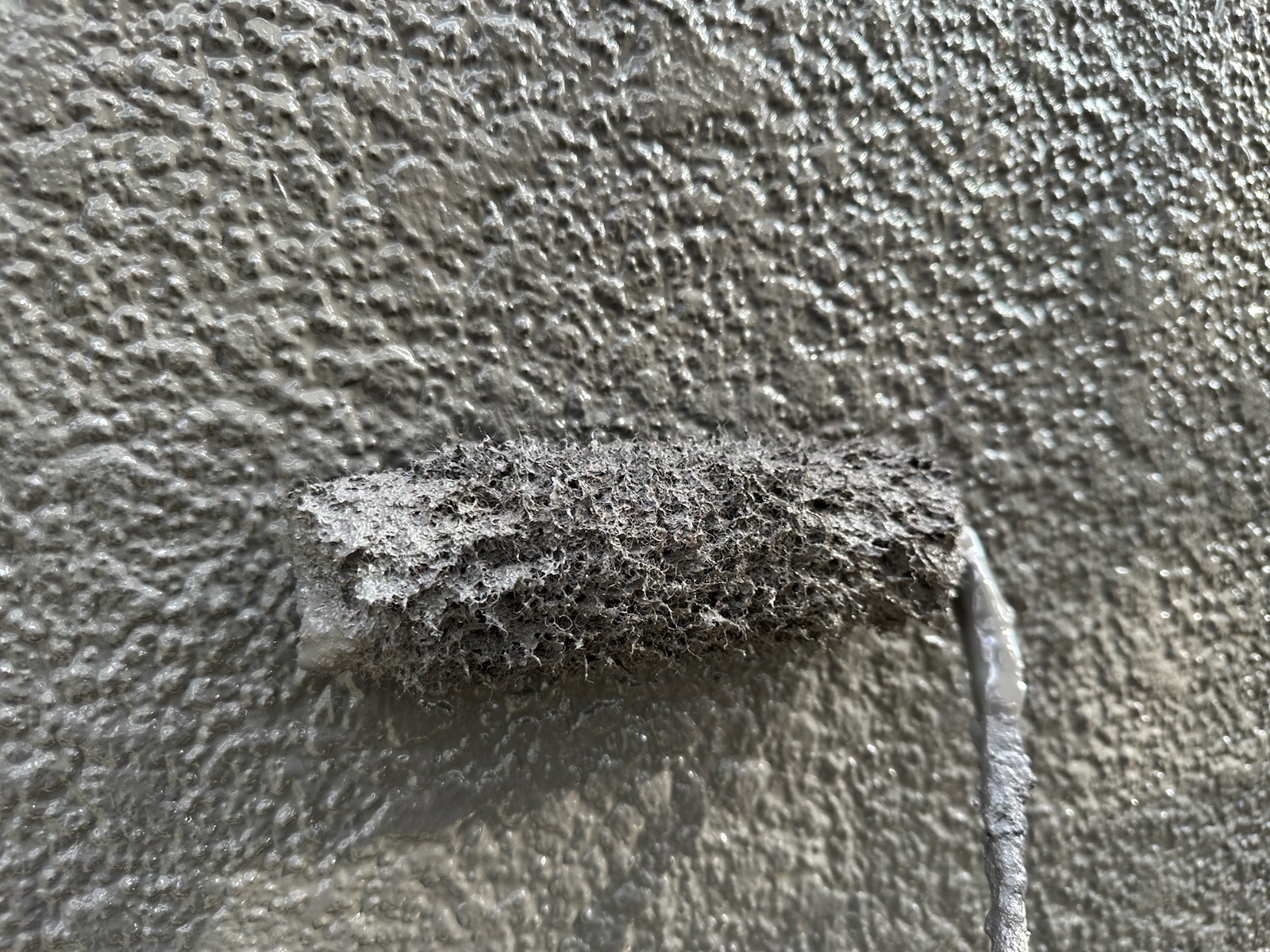 A836A6E2-5A35-4BED-9AB2-415E812D99AC