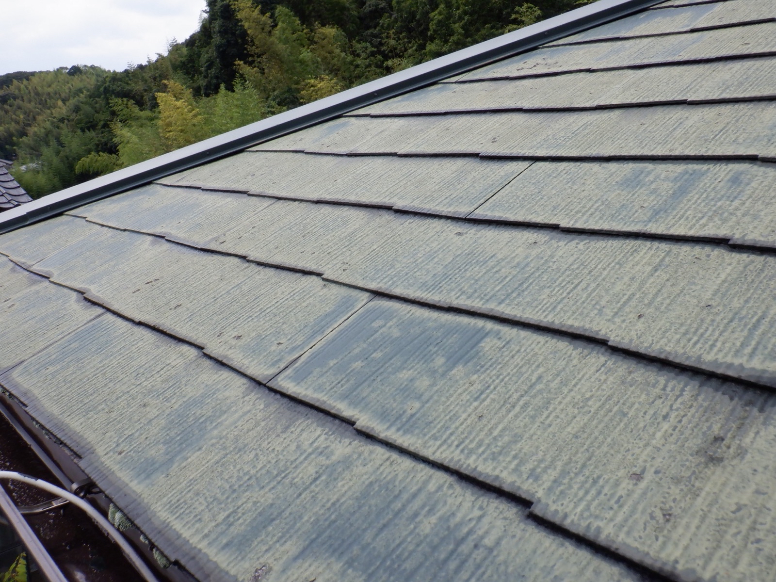 D010BDBA-EEFB-4424-B9D6-2B1377490A29-5214-00000332BD24436B