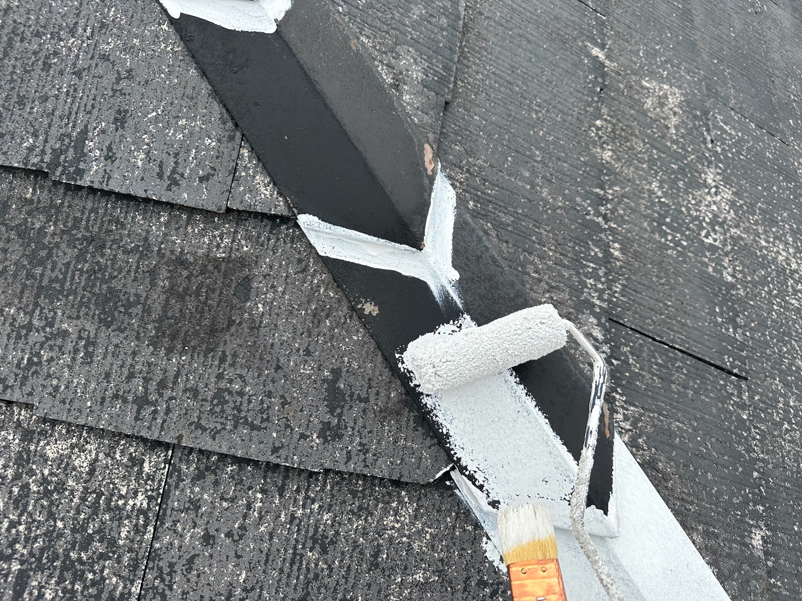 FEE8069B-3DC5-4300-8DC4-82A16ADBDD74